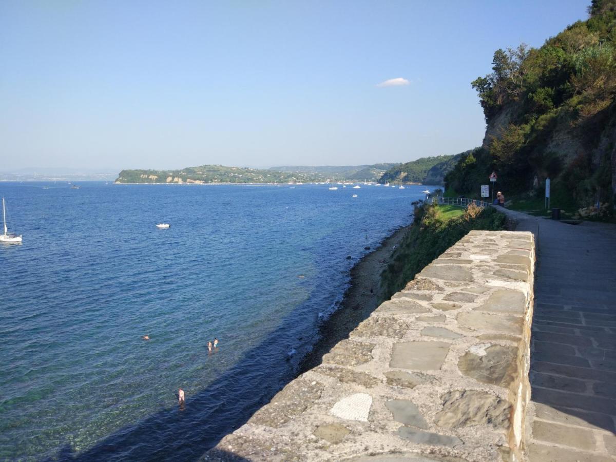 Apartments E & E Piran Exterior photo